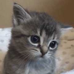 lilyutochka
