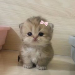 lilyutochka